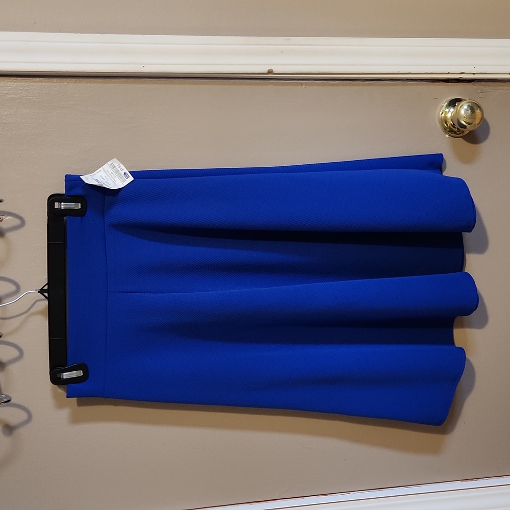 Royal blue skirt